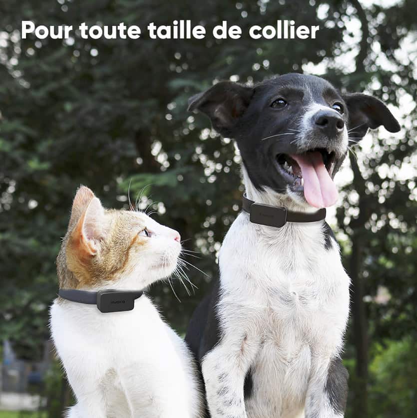 Pet Tracker Invoxia - Aussi bien pour chat que pour chien